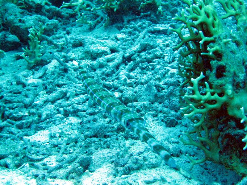2009-12-02 10-39-48S.jpg